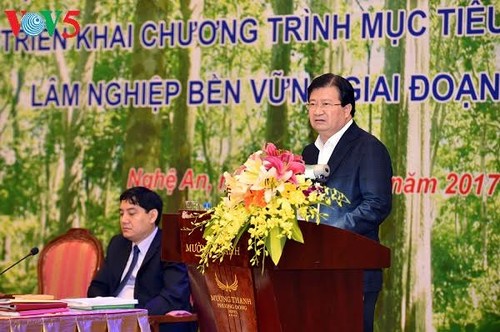Target program on sustainable forestry development acknowledged  - ảnh 1